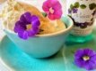 IJS-150-VIOLET Ijs - Violet